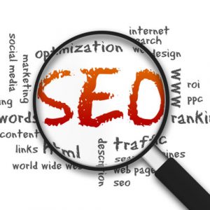 Local SEO Consultants